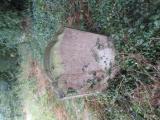 image of grave number 601791